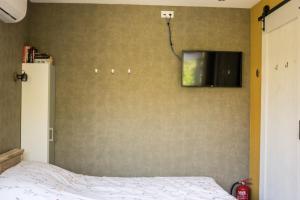 um quarto com uma cama e uma televisão na parede em Bed & Breakfast Danina em Sassenheim