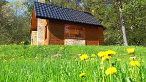 une cabane en rondins dans un champ de fleurs jaunes dans l'établissement Survivalowa chata w lesie, à Bukowsko