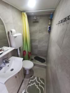 uma casa de banho com um chuveiro, um WC e um lavatório. em Splav Drina-Višegrad em Višegrad