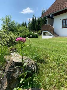 Zahrada ubytování Apartment bei der Tischlerei
