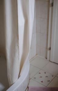 a bathroom with a toilet with a shower curtain at Apartment bei der Tischlerei in Deutschlandsberg