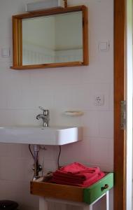 ein Badezimmer mit einem Waschbecken, einem Spiegel und roten Handtüchern in der Unterkunft Apartment bei der Tischlerei in Deutschlandsberg