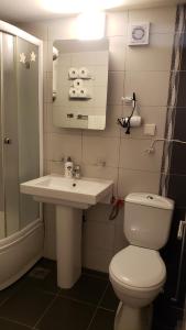 a bathroom with a white toilet and a sink at Family Stone house with magical Sea View in Kaluđerac