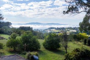 Foto dalla galleria di Treetops - Yarra Valley Country Apartment a Silvan