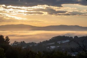 Foto dalla galleria di Treetops - Yarra Valley Country Apartment a Silvan