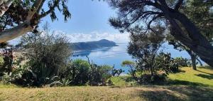 a view of a body of water with a tree at La casa di nonna Carmelina in Milazzo