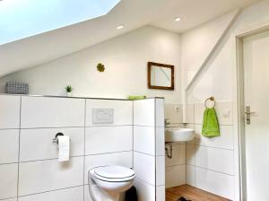 a white bathroom with a toilet and a sink at Swiss View in Hohentengen