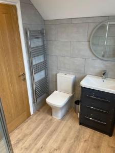 a bathroom with a toilet and a sink and a mirror at Appaloosa suite with amazing views of stud farm. in Great Driffield