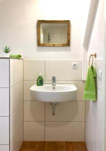 a bathroom with a sink and a mirror at Swiss View in Hohentengen