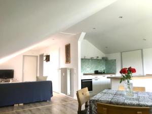 a kitchen and living room with a table and a blue couch at Swiss View in Hohentengen