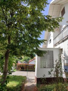 a tree in front of a white building at Esma in Vogošća