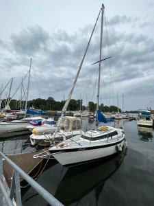 un grupo de barcos atracados en un puerto en Nocleg na jachcie Lanette w Swinoujsciu, en Świnoujście