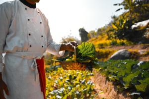 Vrt pred nastanitvijo Dwarika's Himalayan Wellbeing, Dhulikhel