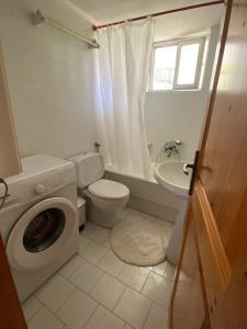 a bathroom with a toilet a sink and a washing machine at homonatura. sense of native living. in Pýrgos