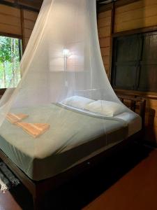 a bed with a mosquito net around it at Khao Sok Green Mountain View in Khao Sok