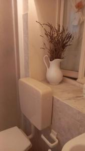 een witte vaas naast een toilet in een badkamer bij LA MIA CASA DI CAMPAGNA MARIA in Santa Giustina
