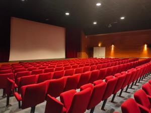 un auditorio vacío con sillas rojas y una pantalla en Hotel-Restaurant Domaine de la Grande Garenne, en Neuvy-sur-Barangeon