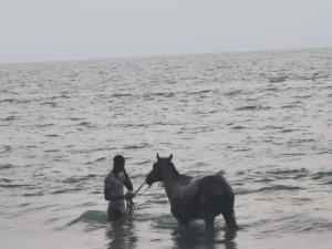 een persoon en een paard in het water bij CasaCanda Tout confort 300 m de la mer in Somone