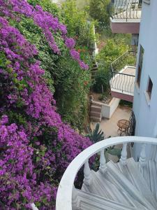 uma varanda com flores roxas ao lado de um edifício em Villa on the Historic Castle Hill em Alanya