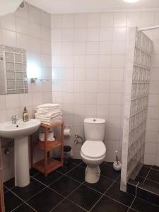 a bathroom with a toilet and a sink at Villa on the Historic Castle Hill in Alanya