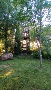 una casa en medio de un patio con un árbol en Wynajem pokoi-Burniszki, en Burniszki