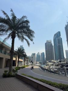 a palm tree next to a marina with tall buildings at LUXURY 1 BR Apartment at Marina Gate Jumeirah Living in Dubai