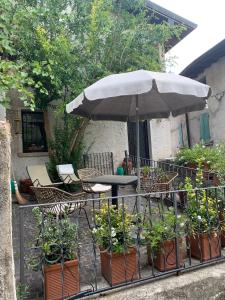 ガルニャーノにあるCasa Zuinoのテーブル、椅子、傘、鉢植え
