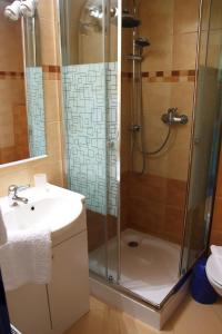 Phòng tắm tại Restaurace-Penzion U Pilota