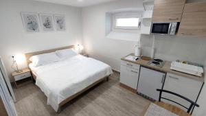 Kuchyň nebo kuchyňský kout v ubytování STUDIO Bruno - wifi and parking available