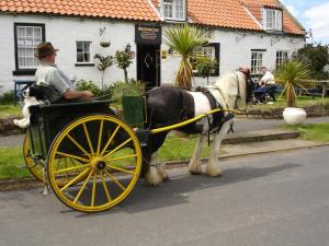 Gallery image of The Beehive Inn in Whitby