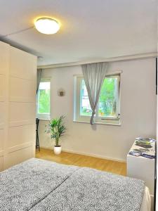1 dormitorio con cama y ventana en Suite 505 nel cuore di Zurigo en Zúrich