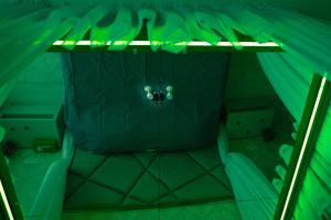 a room with a bed in a green room at XMX Jacuzzi and Baldachin Studio in Bucharest