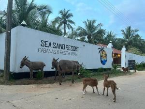 un grupo de animales parados frente a una señal en Sea Sand Resort en Kalpitiya