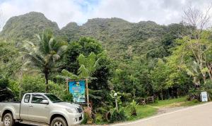 a silver truck parked on the side of a road at Khao Sok Green Mountain View in Khao Sok National Park