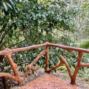a wooden bridge in front of a tree at Khao Sok Green Mountain View in Khao Sok National Park