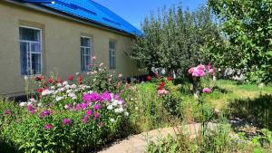Zahrada ubytování Surf Dacha Guest House