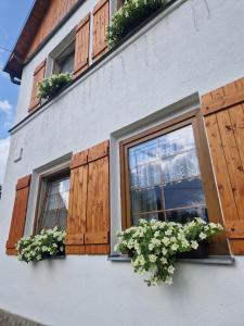 2 fenêtres avec volets en bois et plantes en pot dans l'établissement Pension MAX, à Pernink