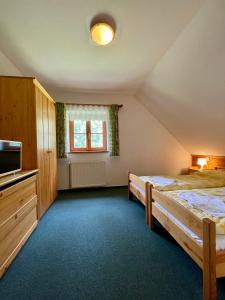 a bedroom with two beds and a tv and a window at Třetí chalupa U Smrčiny in Janske Lazne