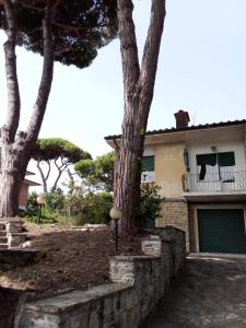 a house with a tree in front of it at Casa Felci in Tirrenia