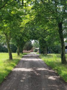 un camino de tierra con árboles a ambos lados en Kristinebjerg en Jelling
