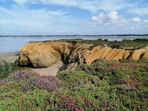 a beach with rocks and plants and a body of water at Maison située entre plage la mine d'or et bourg in Pénestin
