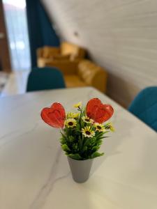 Setusvæði á Heart of Surami