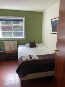 a bedroom with a bed and a window at Guesthouse Grai Hundurinn in Hallormsstaður