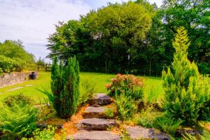 a garden with a stone path and plants at Lakeside Cottage in Carmarthen