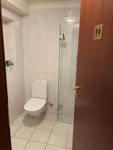 a bathroom with a toilet and a glass shower at Guesthouse Grai Hundurinn in Hallormsstaður