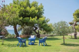 three blue chairs sitting in the grass under a tree at Sunset Villa 1 in Mitikas