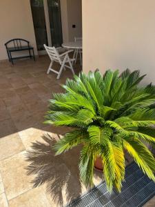 a palm tree in a room with a table and chairs at Villa Valentina in Cefalù