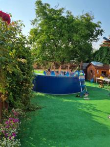 a group of people are in a blue pool in a yard at Rózsa apartman in Odorheiu Secuiesc