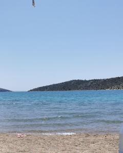 a beach with a body of water and an island at Vivari's Family House in Nafplio