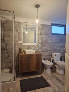 Arcani的住宿－Casa Eridav，一间带水槽、卫生间和淋浴的浴室